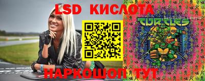 крисы Баксан