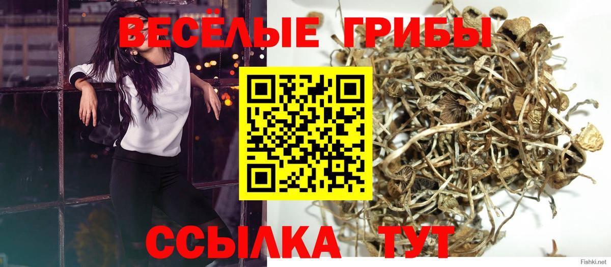 Псилоцибиновые грибы ЛСД  Вход с VPN  Галлюциногенные грибы GOLDEN TEACHER  Красноуфимск 