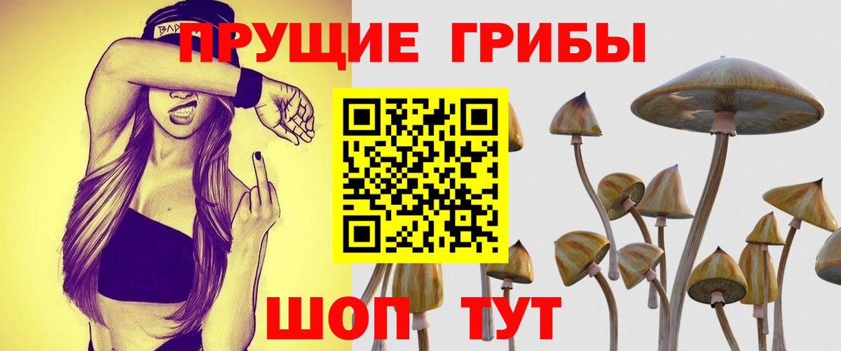Галлюциногенные грибы Cubensis Красноуфимск