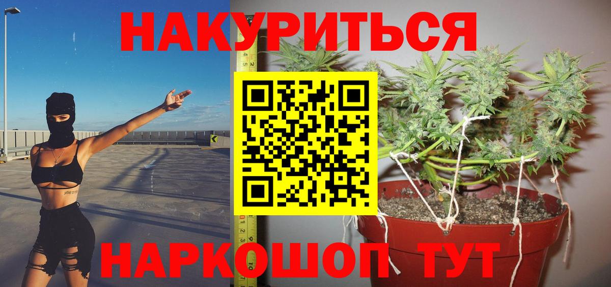 Канабис план Красноуфимск